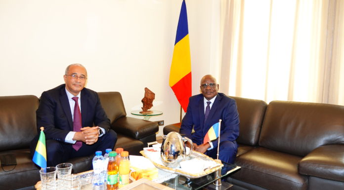 Ambassadeurs du Gabon et du Tchad