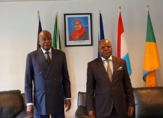 Visite de courtoisie de S.E.M l’Ambassadeur de la République du Tchad à son collègue de la République Unie de Tanzanie