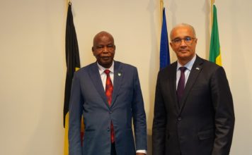Visite de courtoisie de S.E.M l’Ambassadeur de la République du Tchad à son collègue de la République du Gabon