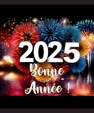 Voeux de S.E.M l’Ambassadeur à l’occasion du Nouvel An 2025